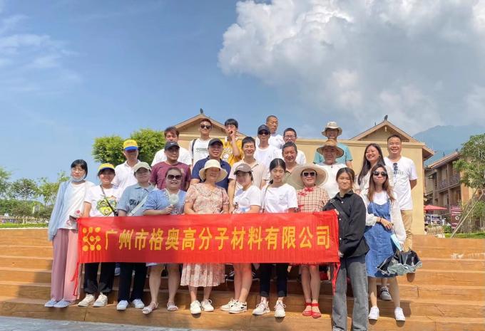 Χονδρικό PSAF Δωρεάν Αντιβρύχιο Αντιβρύχιο για υφάσματα Δερμάτινο Προστατευτικό επίπλων Φροντίδα επίπλων Αντιβρύχιο ψεκασμό 21